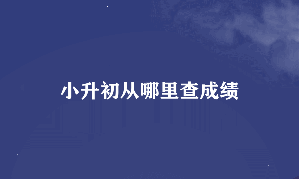 小升初从哪里查成绩