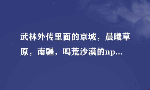 武林外传里面的京城，晨曦草原，南疆，鸣荒沙漠的npc路人甲分别在什么地方？