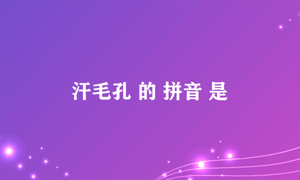 汗毛孔 的 拼音 是