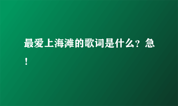 最爱上海滩的歌词是什么？急！