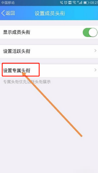 qq群专属头衔是什么意思?