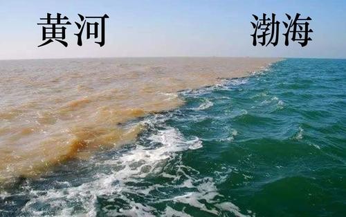 黄河注入了什么海