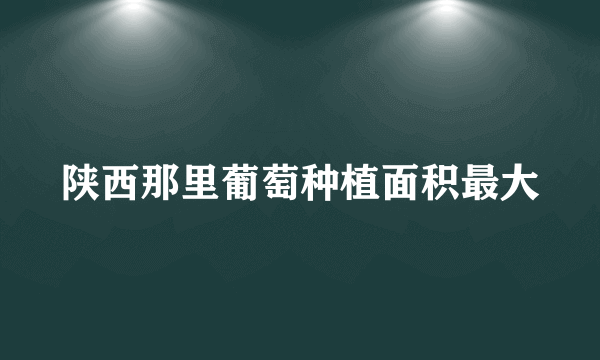 陕西那里葡萄种植面积最大