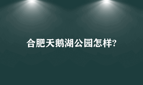 合肥天鹅湖公园怎样?