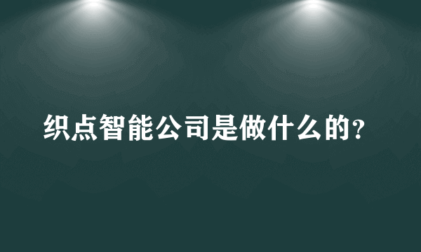 织点智能公司是做什么的？