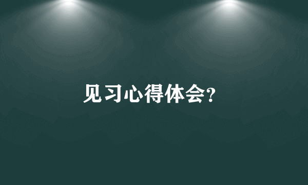 见习心得体会？