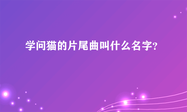 学问猫的片尾曲叫什么名字？