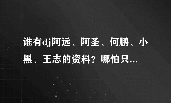 谁有dj阿远、阿圣、何鹏、小黑、王志的资料？哪怕只有一个也好！