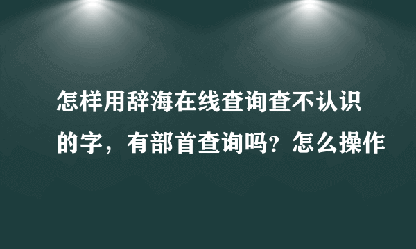 怎样用辞海在线查询查不认识的字，有部首查询吗？怎么操作