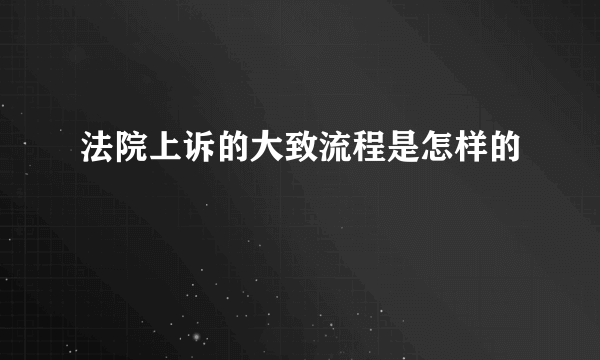 法院上诉的大致流程是怎样的