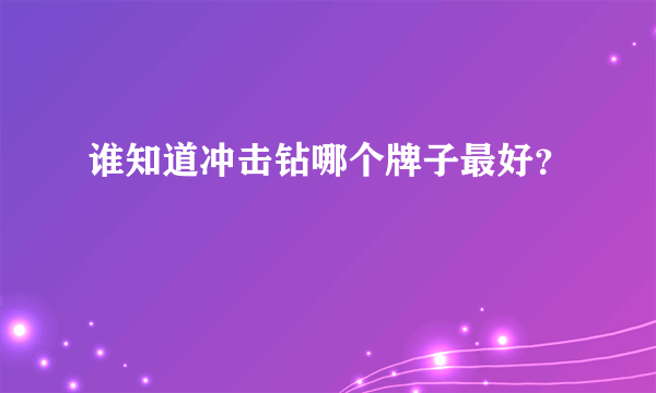 谁知道冲击钻哪个牌子最好？