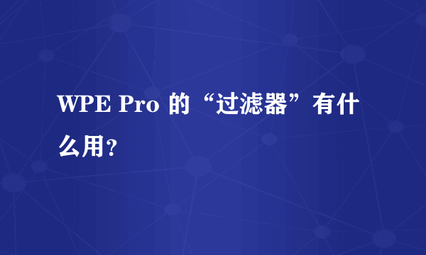 WPE Pro 的“过滤器”有什么用？