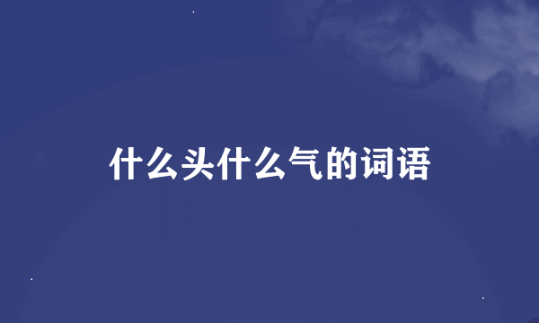 什么头什么气的词语