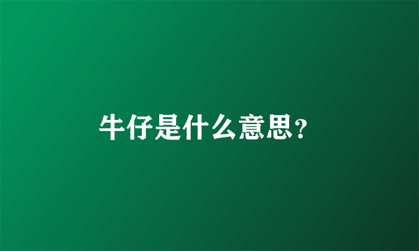 牛仔是什么意思？