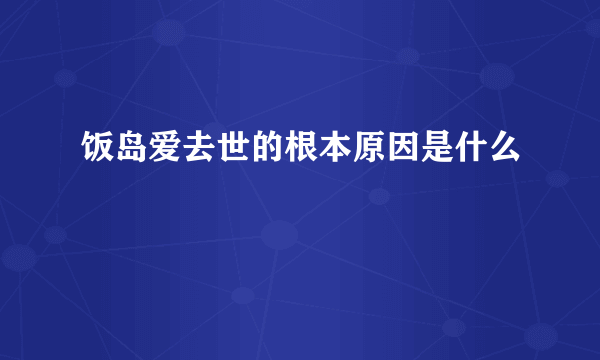 饭岛爱去世的根本原因是什么