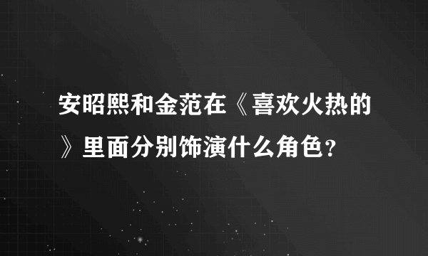 安昭熙和金范在《喜欢火热的》里面分别饰演什么角色？