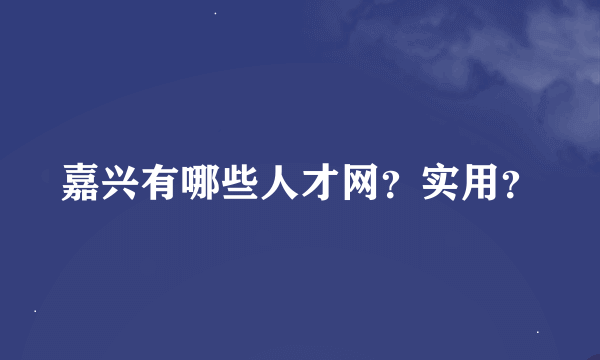 嘉兴有哪些人才网？实用？