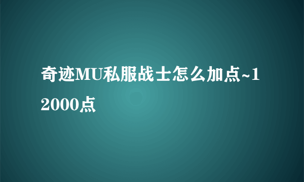 奇迹MU私服战士怎么加点~12000点