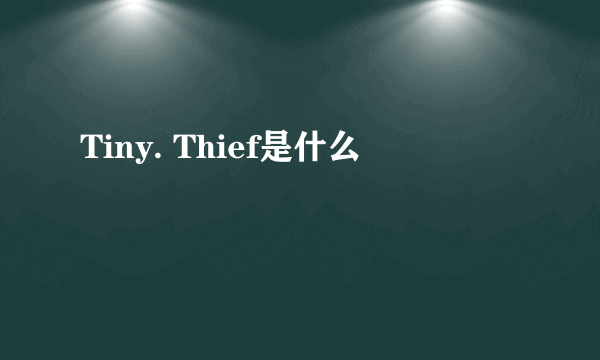 Tiny. Thief是什么