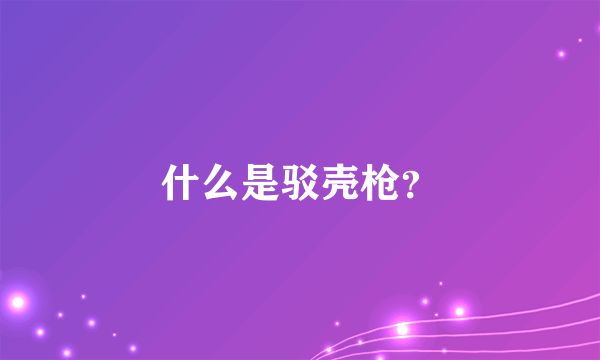 什么是驳壳枪？