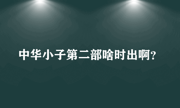 中华小子第二部啥时出啊？