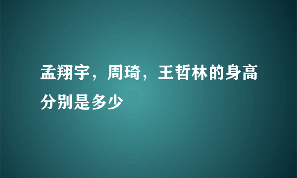 孟翔宇，周琦，王哲林的身高分别是多少