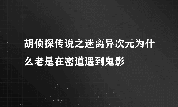 胡侦探传说之迷离异次元为什么老是在密道遇到鬼影