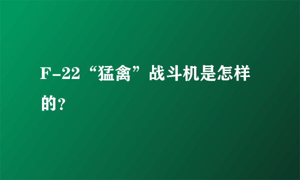 F-22“猛禽”战斗机是怎样的？