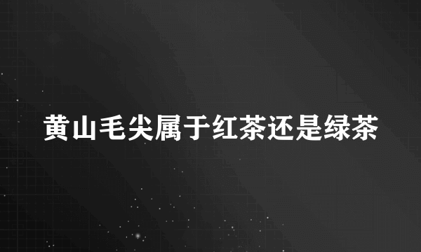 黄山毛尖属于红茶还是绿茶