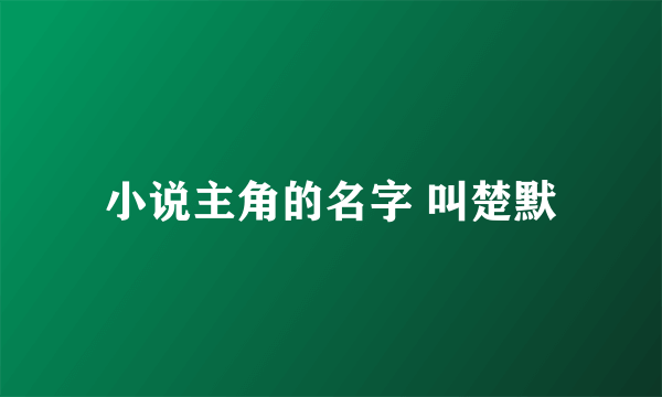 小说主角的名字 叫楚默