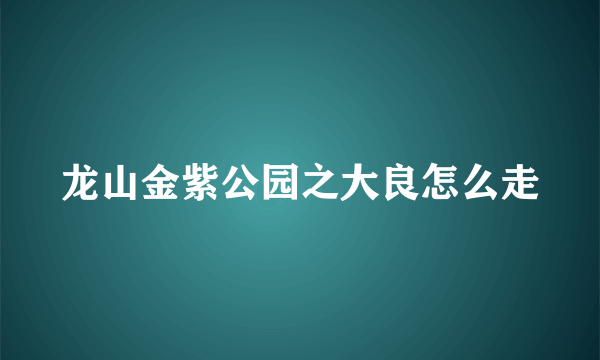 龙山金紫公园之大良怎么走