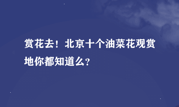 赏花去！北京十个油菜花观赏地你都知道么？