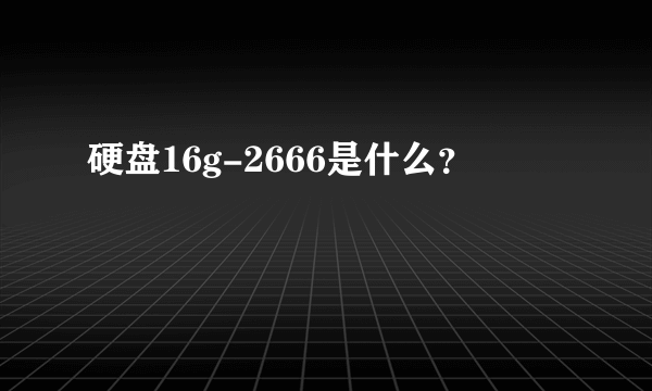 硬盘16g-2666是什么？