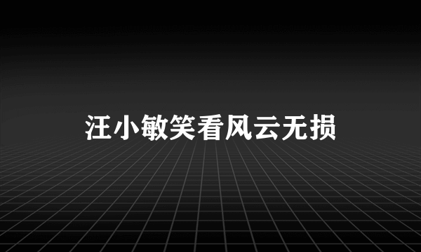 汪小敏笑看风云无损