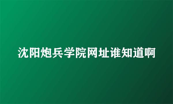 沈阳炮兵学院网址谁知道啊