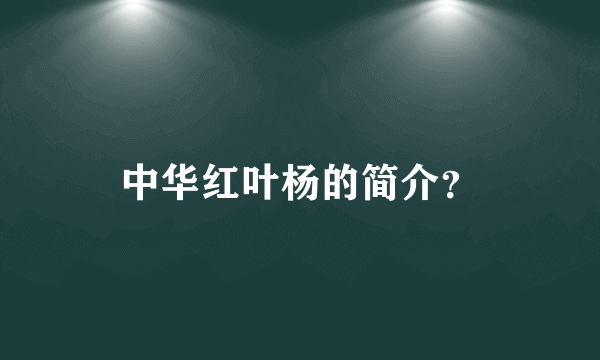 中华红叶杨的简介？