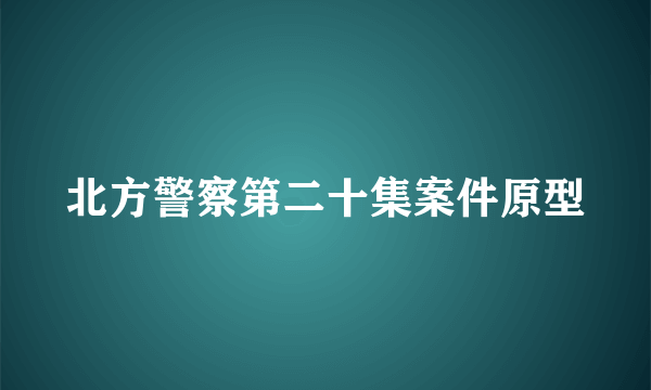 北方警察第二十集案件原型