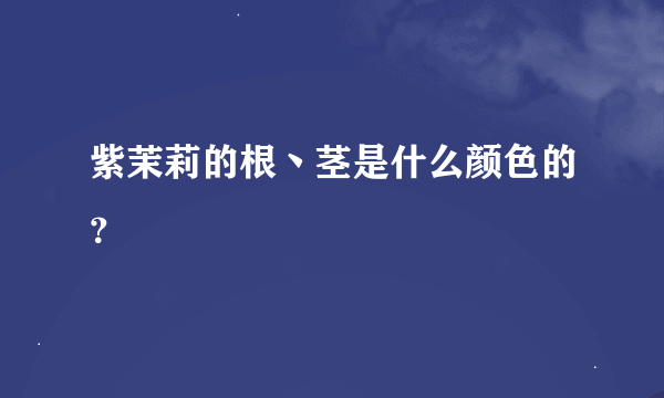 紫茉莉的根丶茎是什么颜色的？