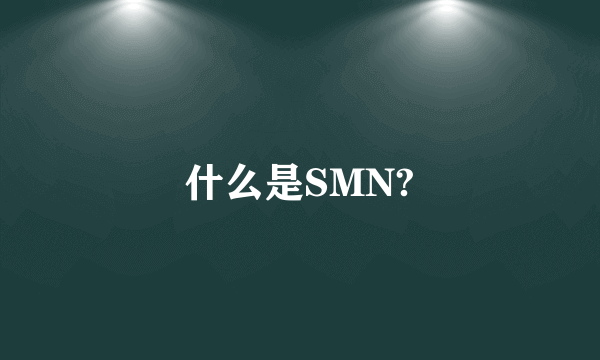 什么是SMN?