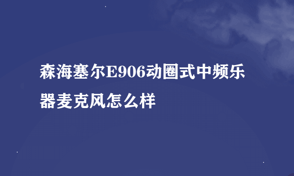 森海塞尔E906动圈式中频乐器麦克风怎么样