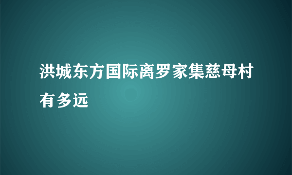 洪城东方国际离罗家集慈母村有多远