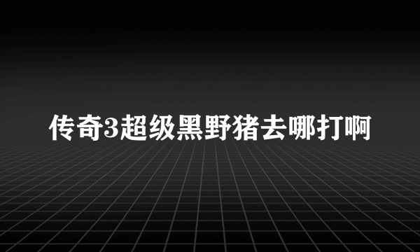 传奇3超级黑野猪去哪打啊