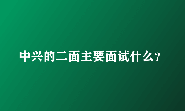 中兴的二面主要面试什么？