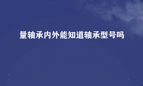 量轴承内外能知道轴承型号吗