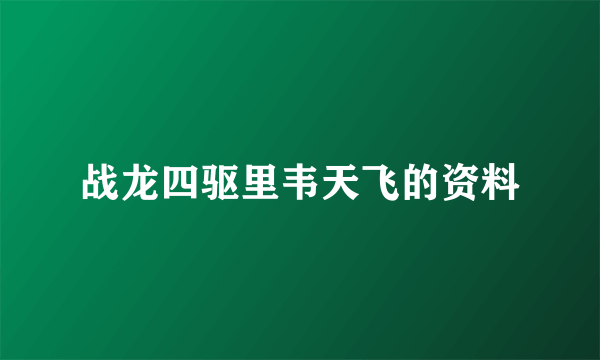 战龙四驱里韦天飞的资料