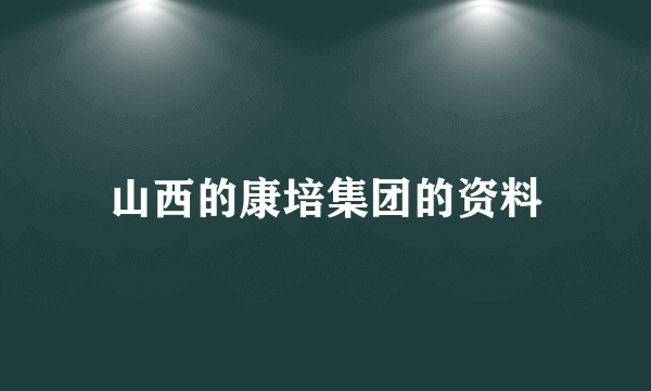 山西的康培集团的资料