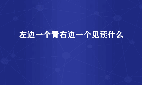 左边一个青右边一个见读什么