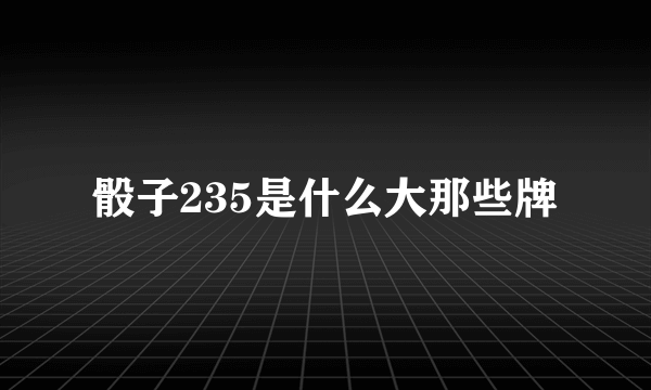 骰子235是什么大那些牌