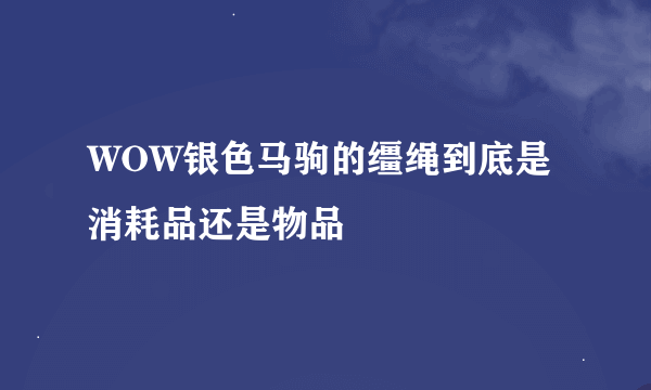 WOW银色马驹的缰绳到底是消耗品还是物品