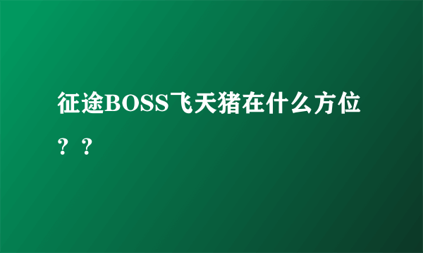 征途BOSS飞天猪在什么方位？？